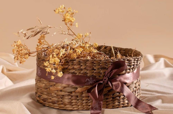 plant-hamper
